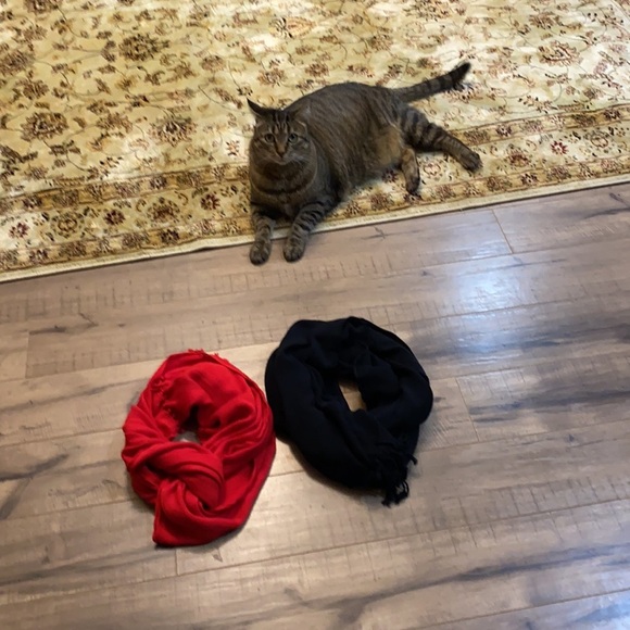 2scarves for sale - Picture 1 of 8